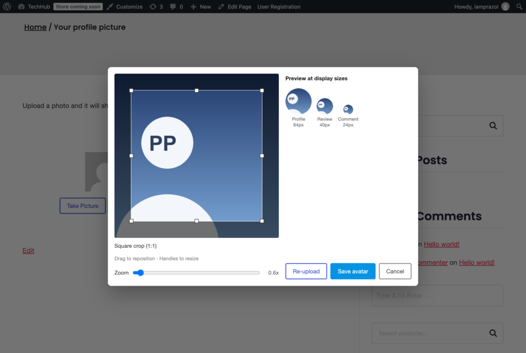 The crop window with a square selection, a zoom slider and previews at three sizes