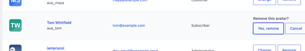 A table row asking Remove this avatar with Yes remove and Cancel buttons