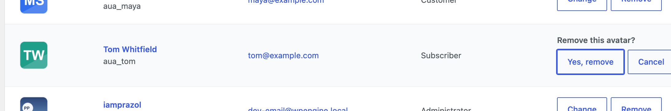 A table row asking Remove this avatar? with Yes, remove and Cancel buttons